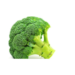 Plantel brócoli